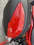IMG_3295.jpeg